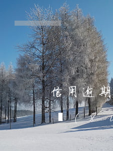 信用逾期能坐飛機(jī)嗎？查詢(xún)方法及限制介紹